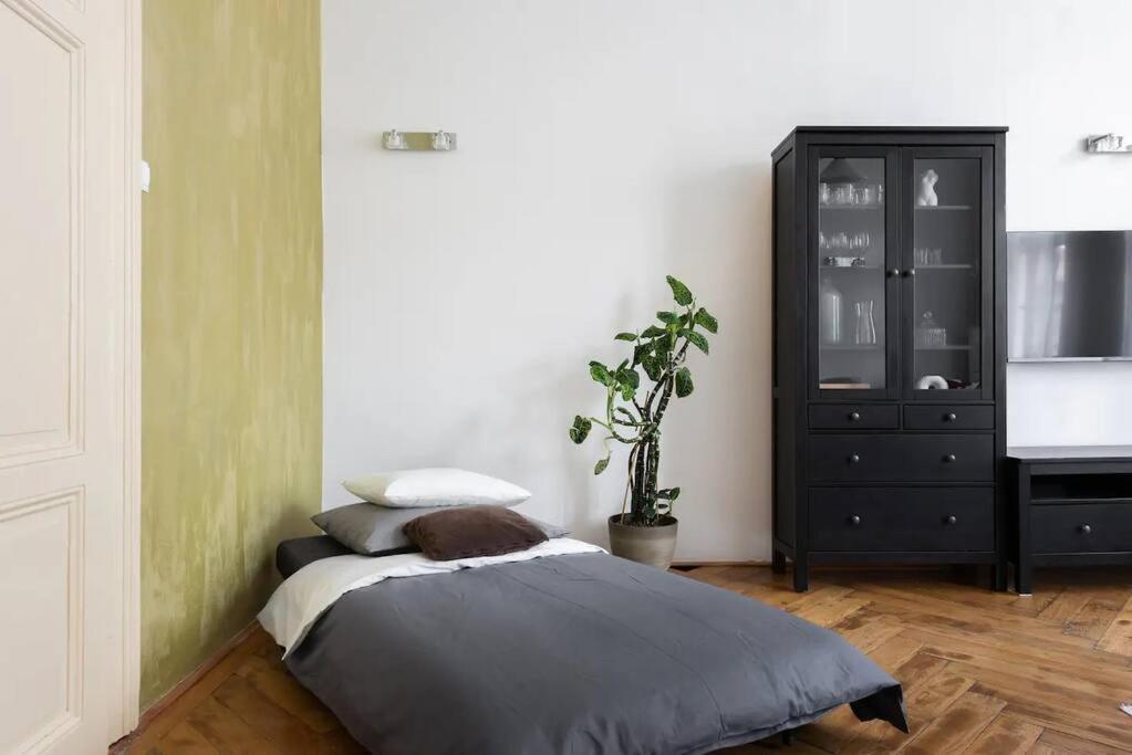 Spacious With Balcony At Wenceslas Sq * Praga